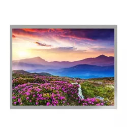 MVA 10.4 인치 TFT LCD 디스플레이 G104X1-L04 LVDS 인터페이스 TFT LCD 모듈